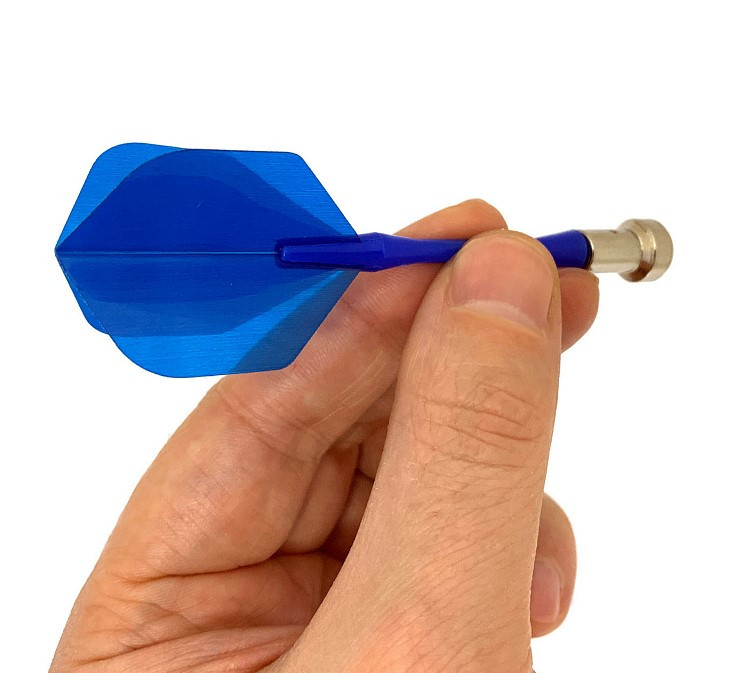 ���� ����� ���������