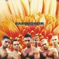 Rammstein  Herzeleid (2 LP)