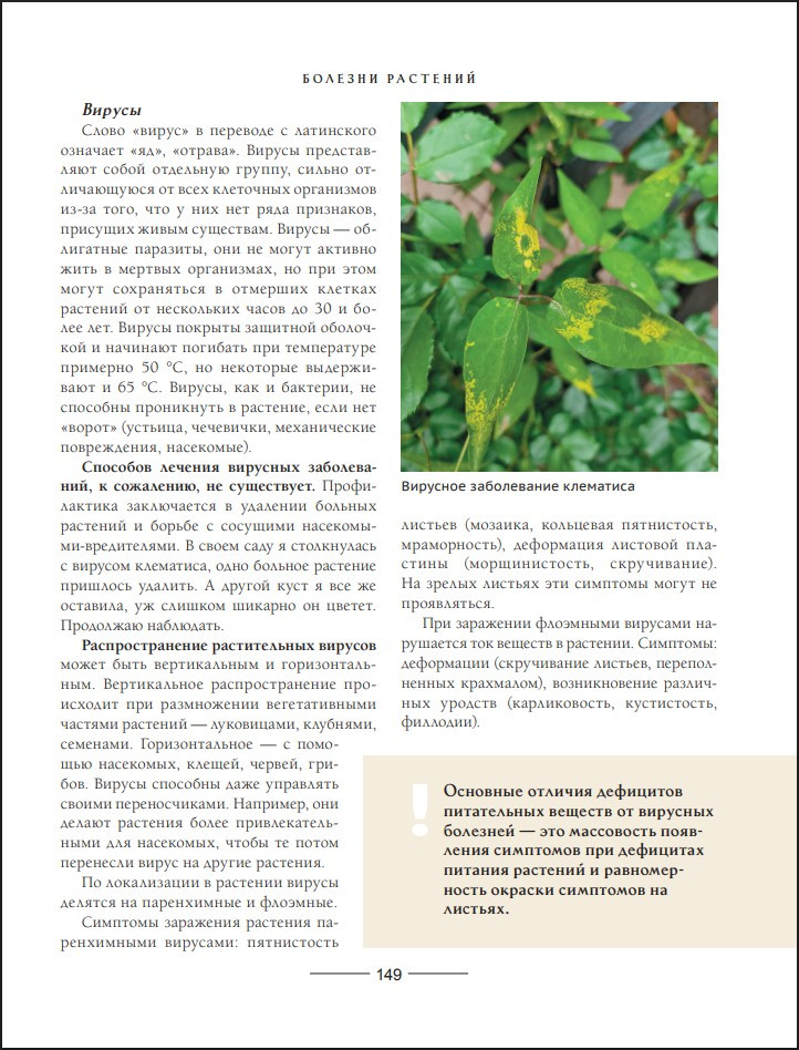 ������� ������������ ����: ��� ������� ������ ������� � �������������� ������������� ����������