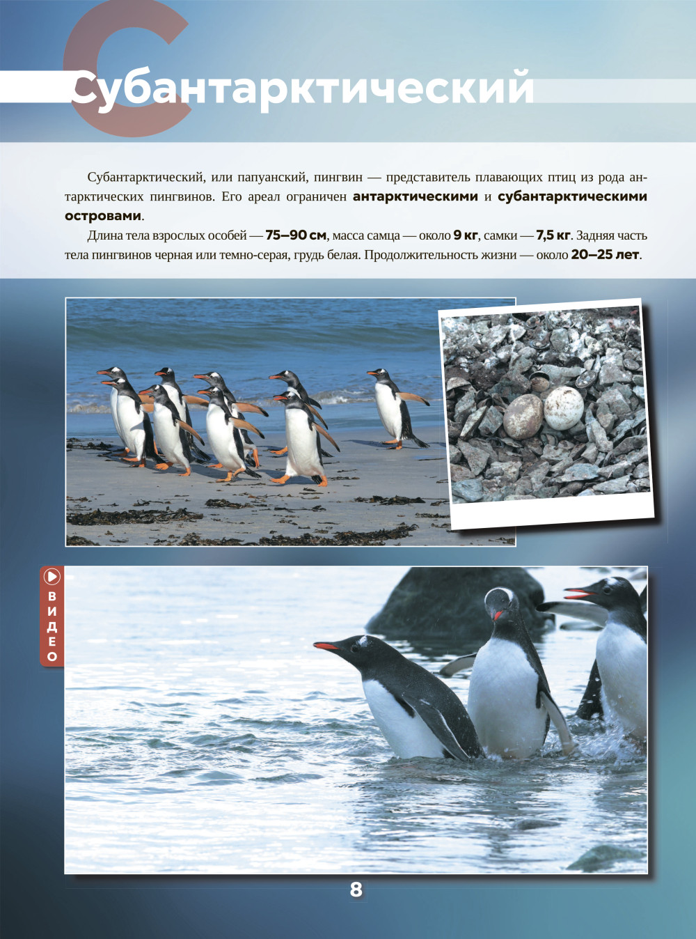 ��������� ���. 101 ����� � 1001 ����������