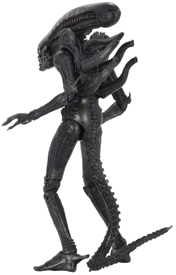  NECA Scale Action Figure: Alien  Big Chap Ultimate Edition (17 )