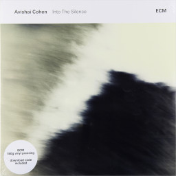 Cohen Avishai  Into The Silence (2 LP)