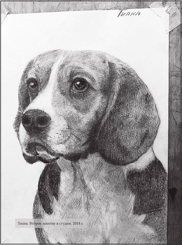 ��������: ����������� ������� ���������� ��������