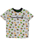 �������� Minecraft � Heads (�����) 