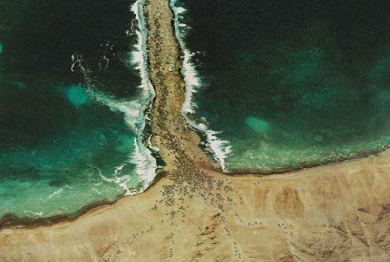 BBC: ���������� �������. ���� �����. ������. ���� ������ (3�DVD)