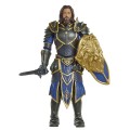  Warcraft. Lothar (16 )