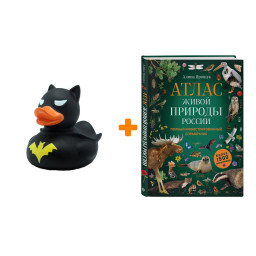 ����� ����� ����� ������� ������. ������ ���������������� ����������. ������ �.�. + ������� ������ Ҹ���� �����