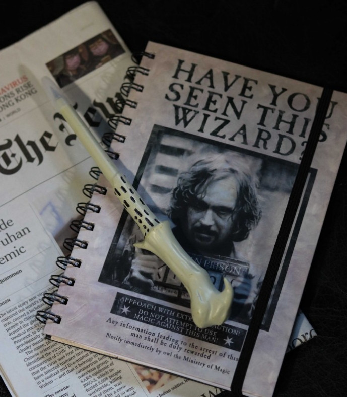 Ручка Harry Potter: Voldemort Wand