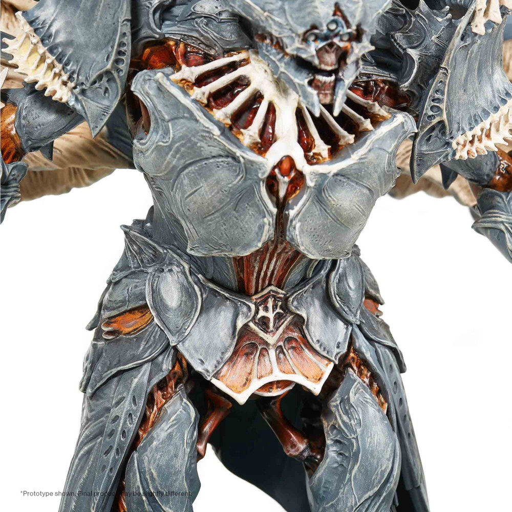 ������� Destiny 2: Witch Queen (29 ��)