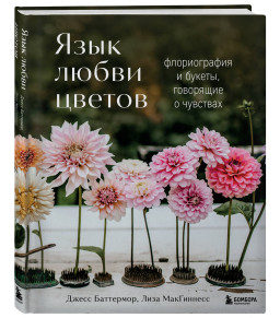 ���� ����� ������: ������������ � ������, ��������� � ��������