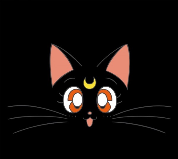 Футболка Sailor Moon: Luna (черный)