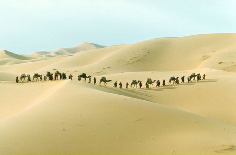 BBC: ���������� �������. ���� �����. ������. ���� ������ (3�DVD)