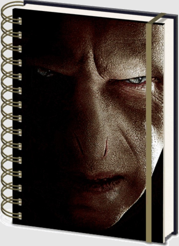 Блокнот Harry Potter: Harry Potter And Voldemort с 3D-изображением (A5, 148x210 мм)