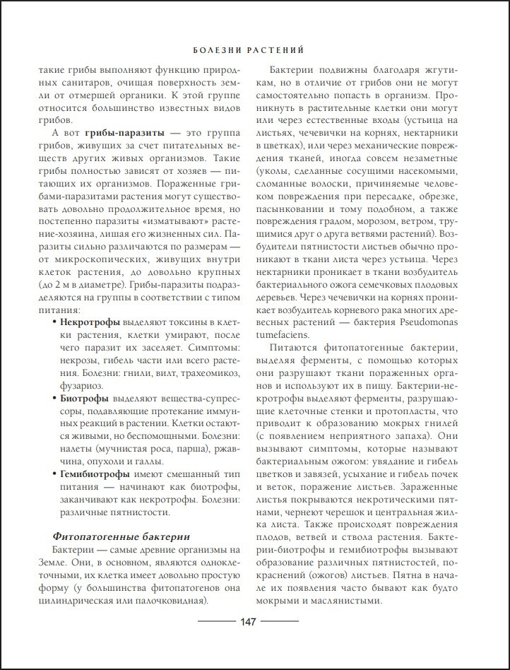 ������� ������������ ����: ��� ������� ������ ������� � �������������� ������������� ����������