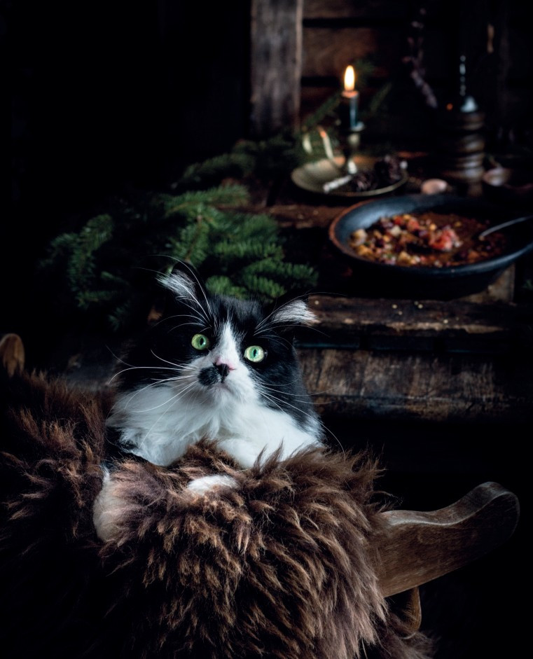 Nordic: �����������, ��� � ��� �� ������ ������