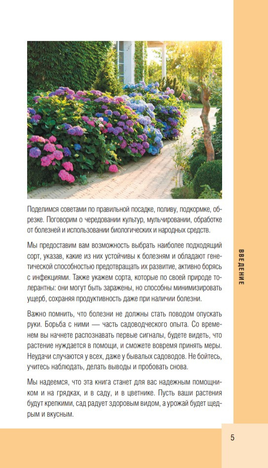 ������� ���� � �������: ��������� �����-������������