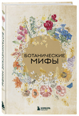 ������������ ����