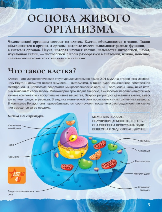 ������� ����� 4D: ���� ��������