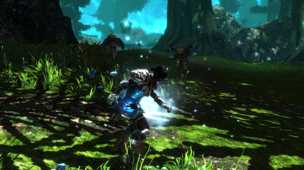 Kingdoms of Amalur: Re-Reckoning.   [PC]