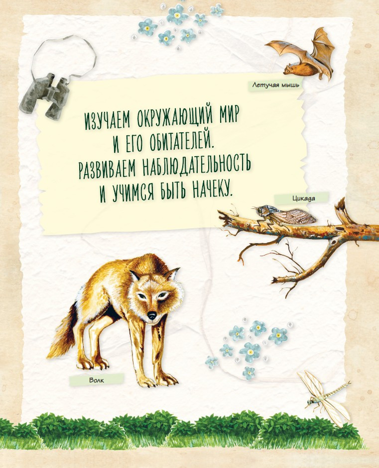 ������� ������� ��� �������: ������������ ��� ��������� ��������