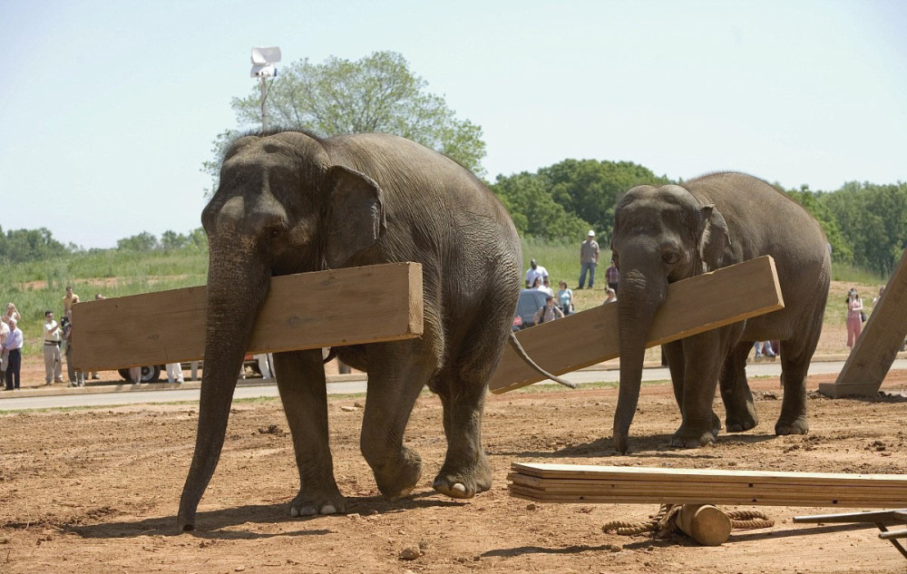 ̸����� ��� �: ����� ����� ������ / ���� ��������� / ���� ���������� (3 DVD)