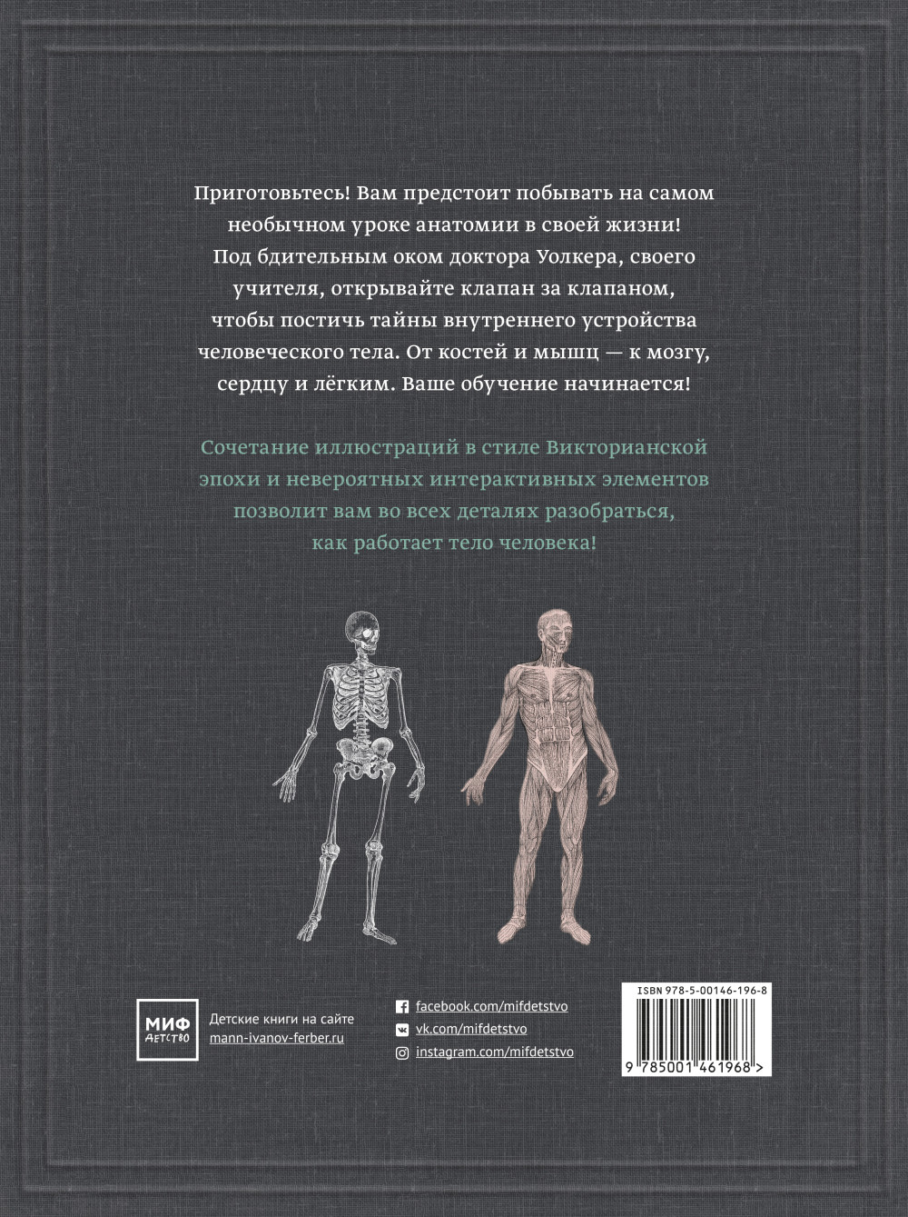 Тело человека: Интерактивная книга-панорама
