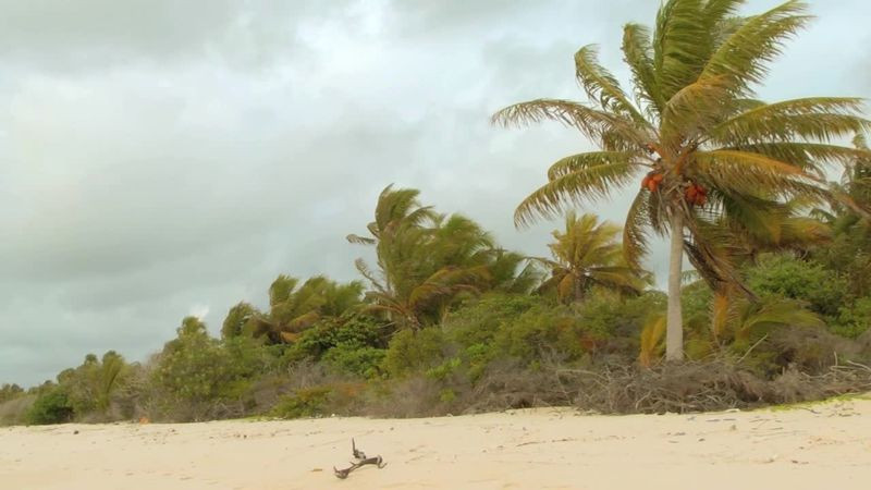   3D.      (Blu-ray 3D + 2D)