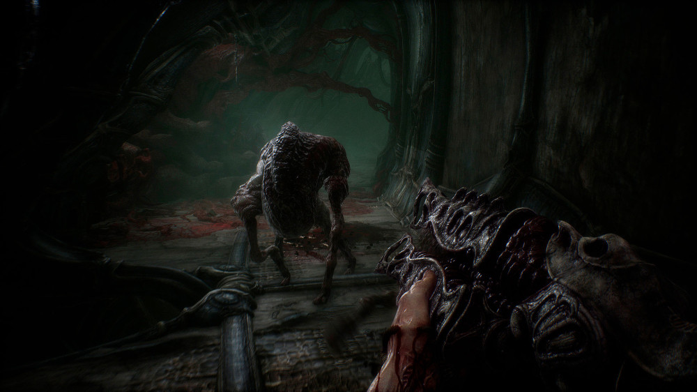 Scorn (Steam) [PC,  ]