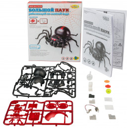 �����������: ���� �� ������� ���� (OCIE)