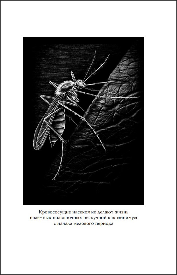 ������ �����: ���������, �������������, ������������� � ������ �������