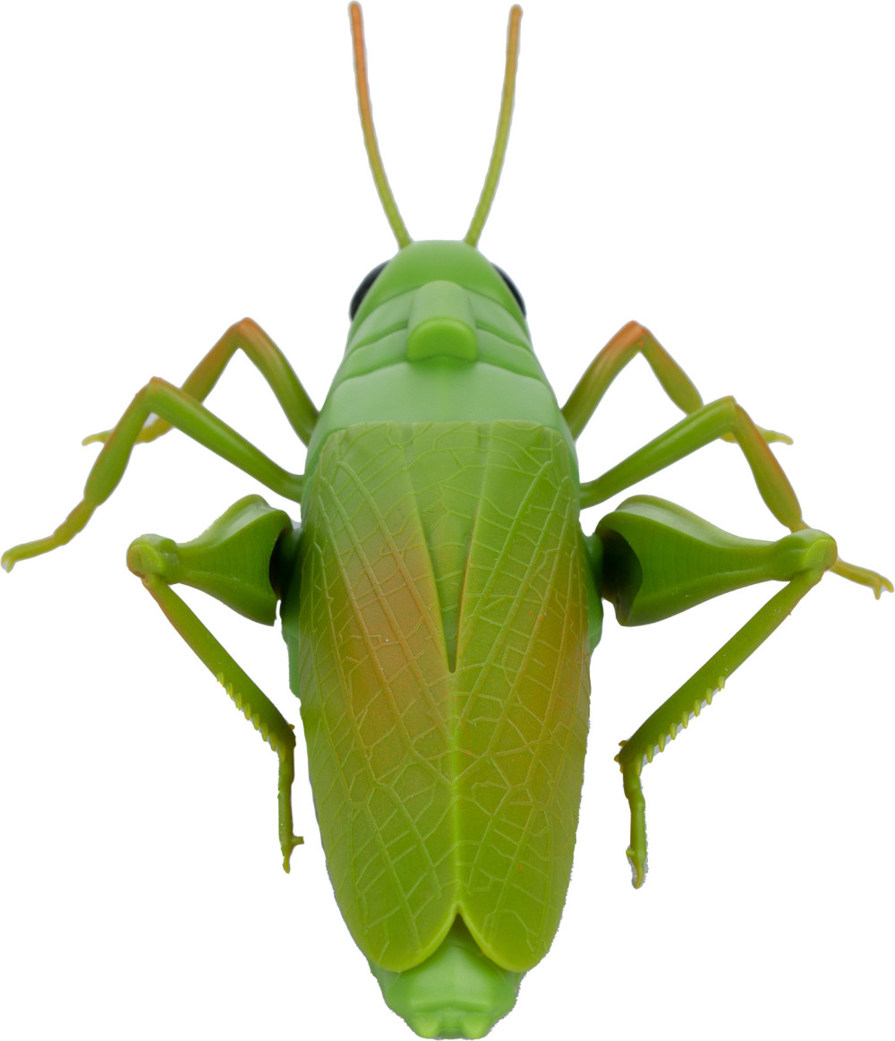 ������� �������� �� ���������� ����������