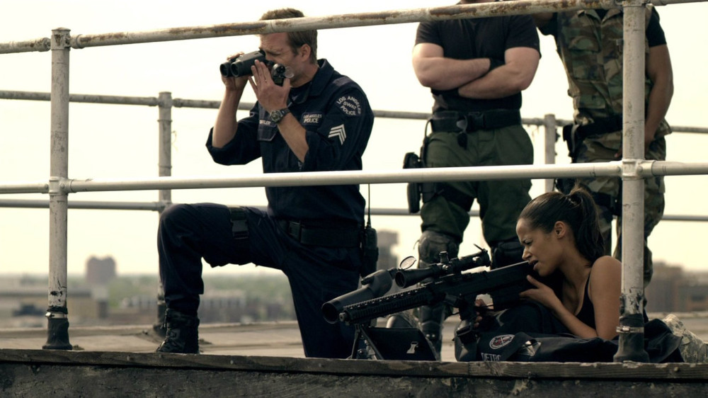 S.W.A.T.:   (DVD)