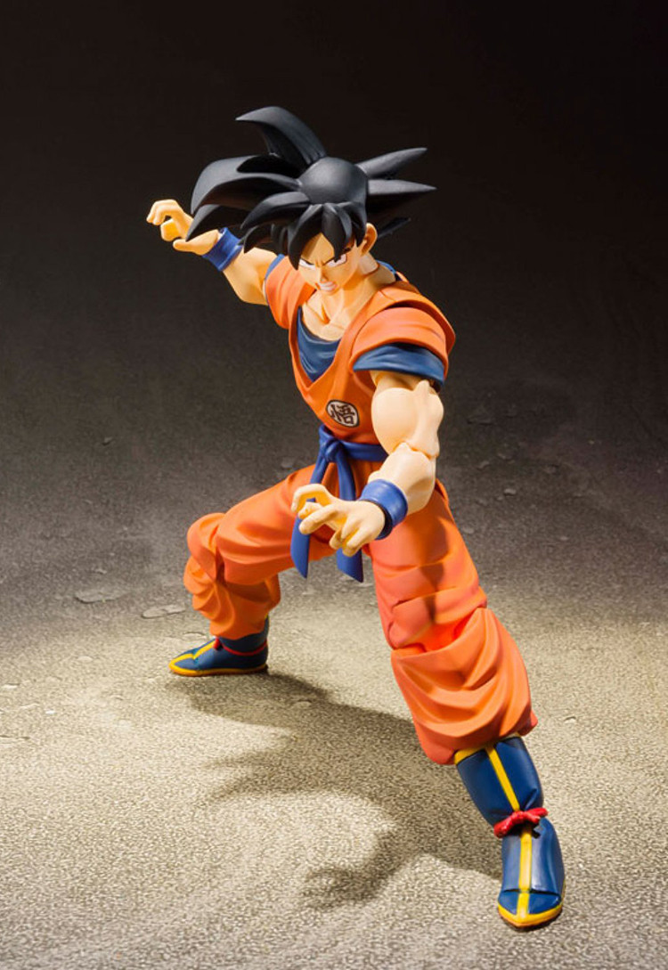  S.H.Figuarts: Dragon Ball Z  Son Goku A Saiyan Raised On Earth (14 )