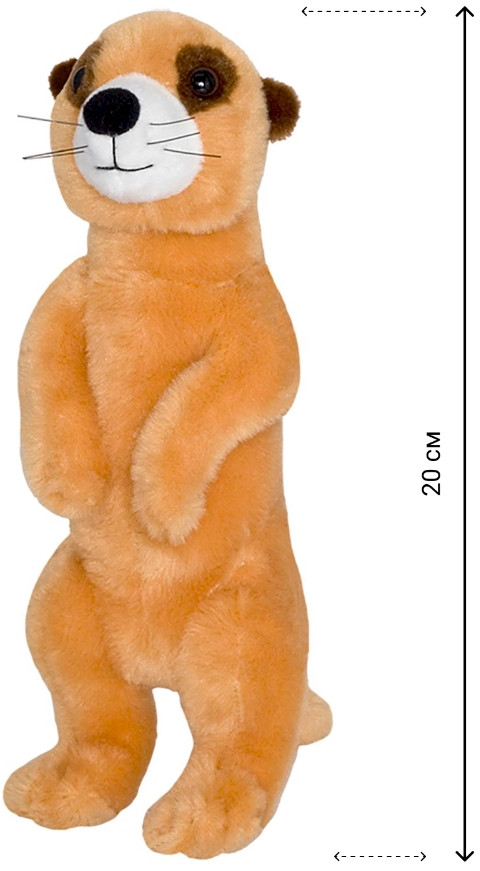 ������ ������� ������� (20 ��)