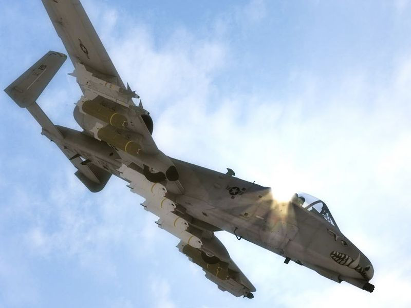 DCS: A-10C    [PC,  ]