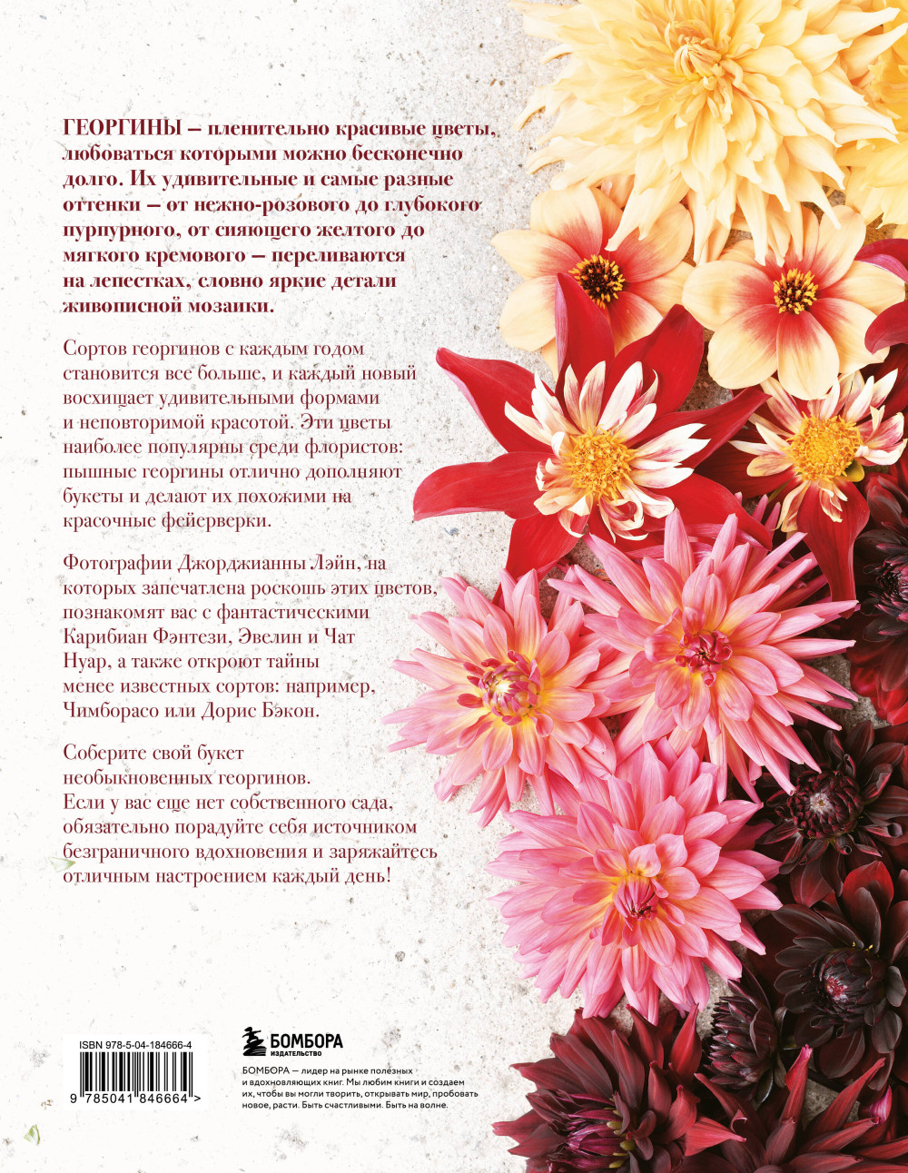 Георгины: Необыкновенные цветы для дома и сада