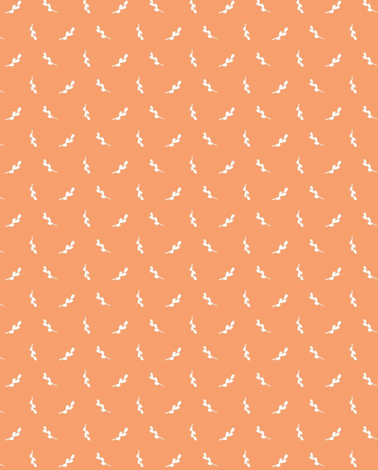 �� ������ � ������: �������� � �������� ��������