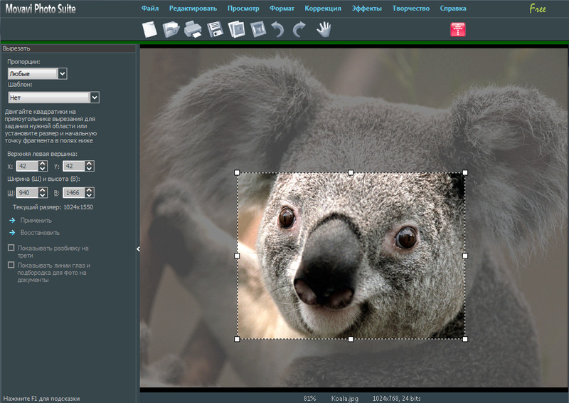 Movavi Photo Suite.   [ ]