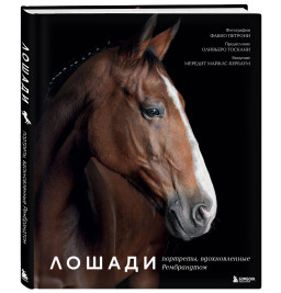 ������: ��������, ������������� �����������. ������������ ����������