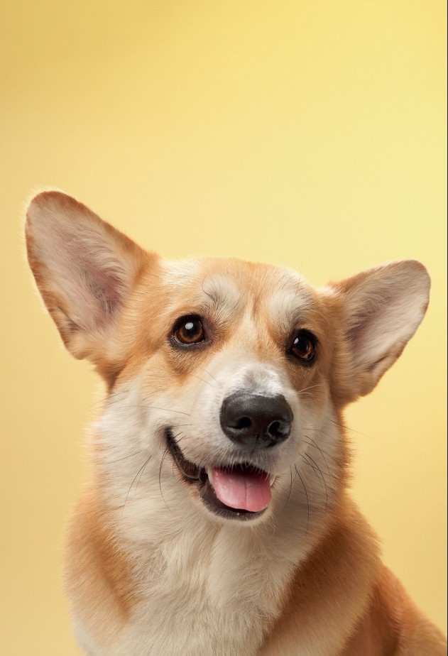 ����������� � ���������� ������ (����� ����������)