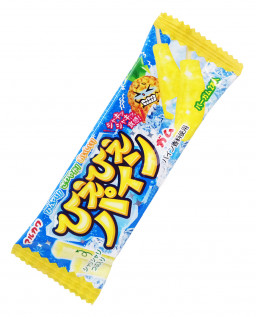   Marukawa  
