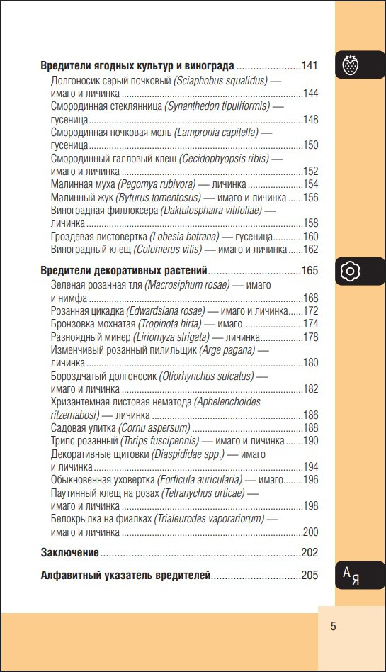 ��������� ���� � �������: ��������� �����-������������