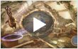 �������� �������� ����� + ������ PS Eye + ���������� �������� PS Move + Wonderbook