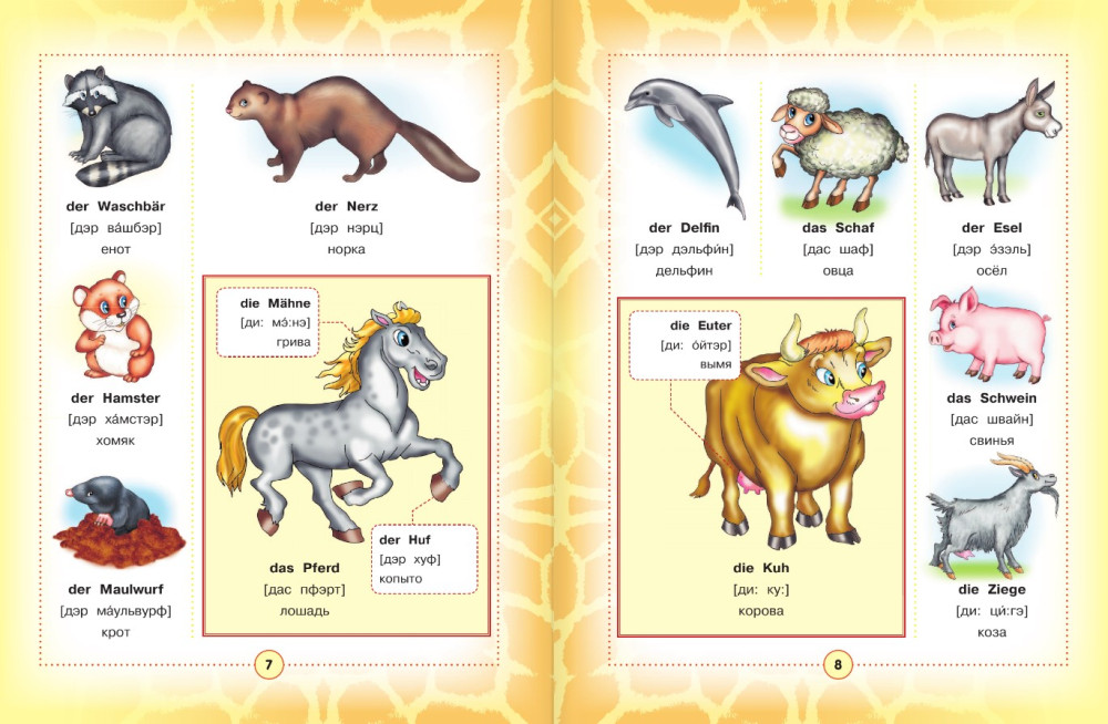 �������-������� ���������� ������� ��� �����