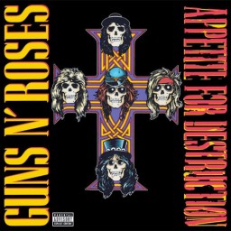 Guns N' Roses  Appetite For Destruction (LP)