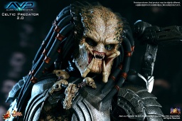  Alien vs. Predator 1/6. Celtic Predator (30 )