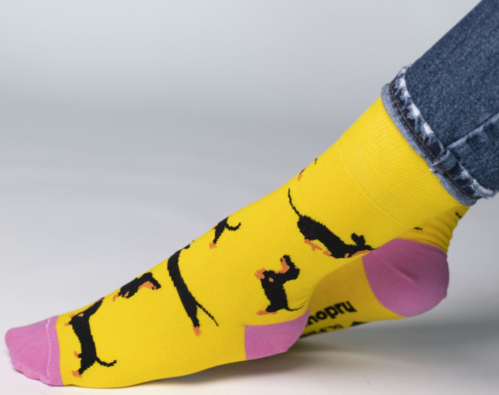 ����� ������ ������� ������ ����� ����