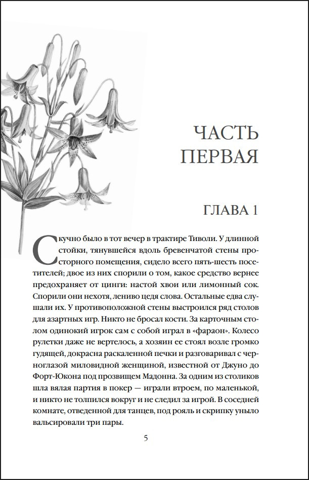 �����-��-���� (����� ���������� ��������)