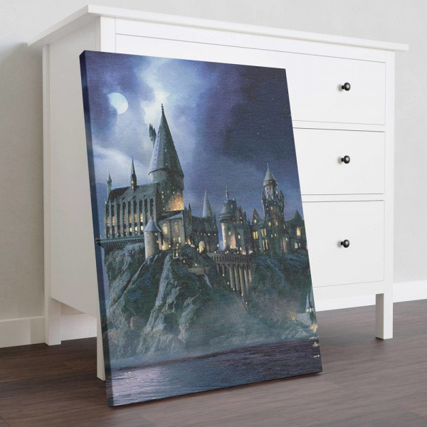Картина Гарри Поттер: Ночной Хогвартс