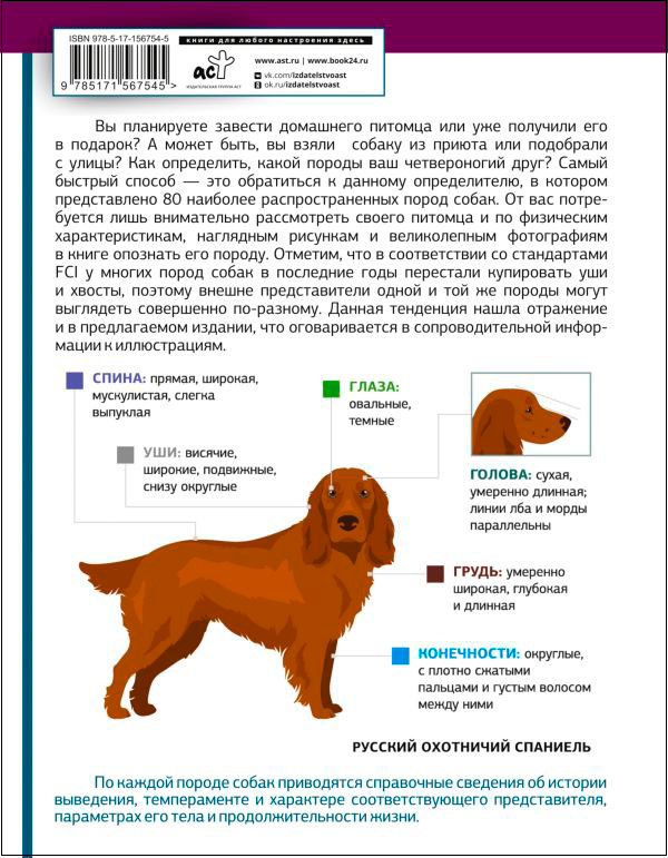 ������������ �����: ���������� �������������� � ������������ ������